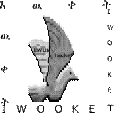 Iwooket logo