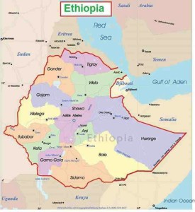 Another Conspiracy Against the Ethiopian people by TPLF