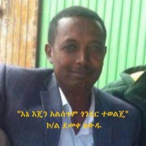 TPLF has Intensified its Shocking Human Rights Violations in the Historic City of Gondar