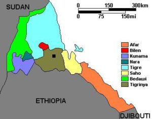 Tesfaye Gebreab Blatantly Continued his interference in the internal Affairs of Ethiopia