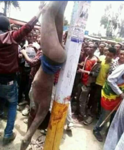 Shocking and primitive atrocities of TPLF against innocent civilians in Ethiopia