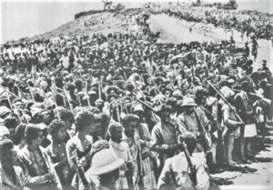 Amharas Defenders of Ethiopia