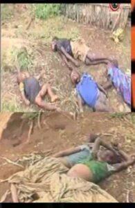 Genocide and Atrocities of OLF &TPLF Against Amhara Children